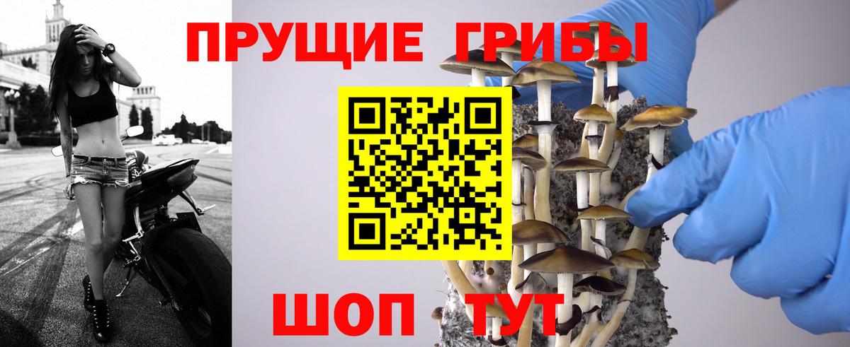 Десногорск  Псилоцибиновые грибы мухоморы  Вход с VPN  Галлюциногенные грибы Magic Shrooms 